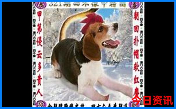 怀集有什么好玩的地方景点